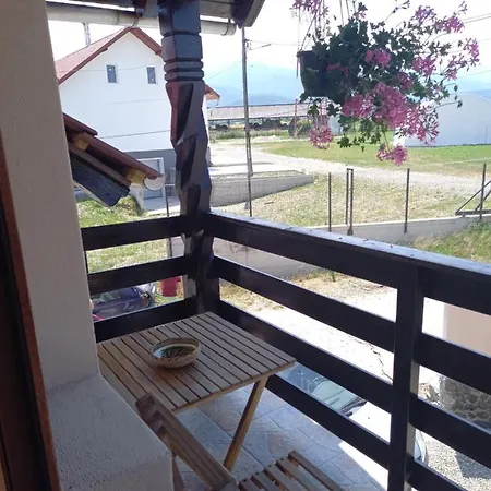 Casa Loredana Cîrţişoara Extérieur photo