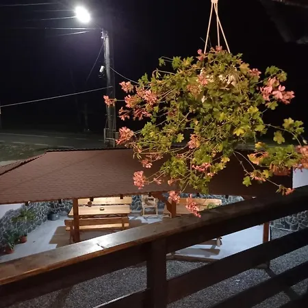 Casa Loredana Cîrţişoara Extérieur photo
