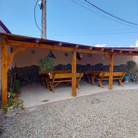 Casa Loredana Cîrţişoara Extérieur photo