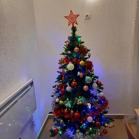 Casa Loredana Cîrţişoara Extérieur photo