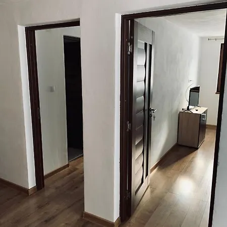 Casa Loredana Cîrţişoara Extérieur photo