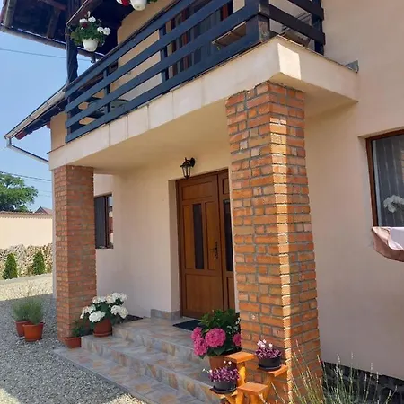 Casa Loredana Cîrţişoara Extérieur photo