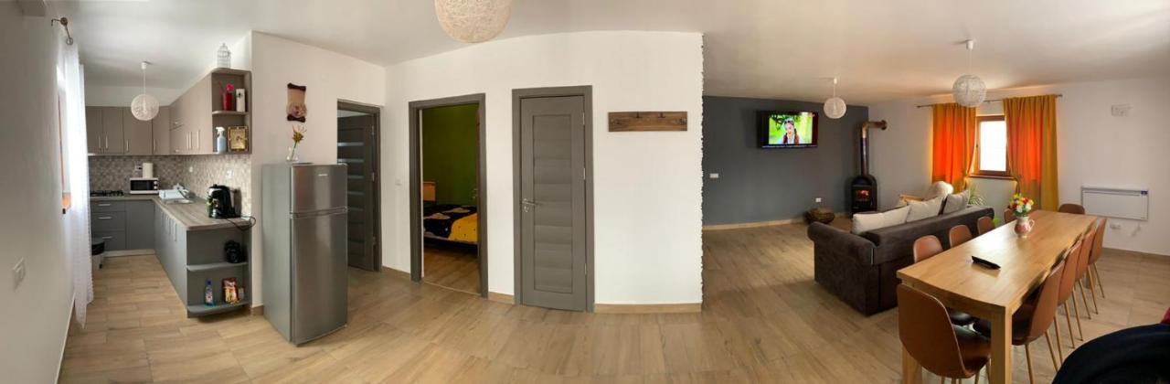 Holiday home Casa Loredana Cartisoara
