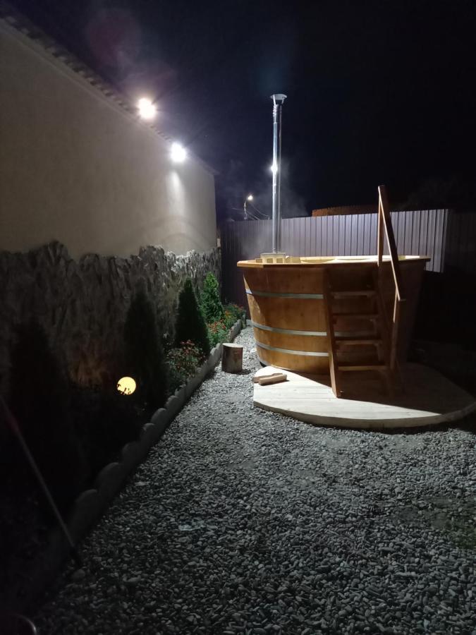 Casa Loredana Holiday home Cartisoara